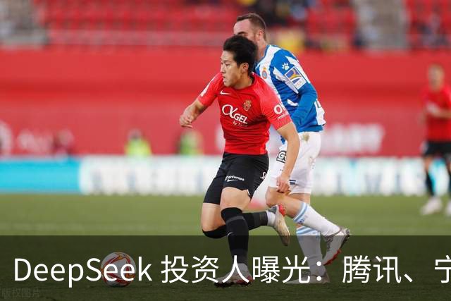 DeepSeek 投资人曝光：腾讯、宁德时代、长鑫、中芯国际、vivo、美团、美的、吉利、中国移动、中国电信、小红书、中金等